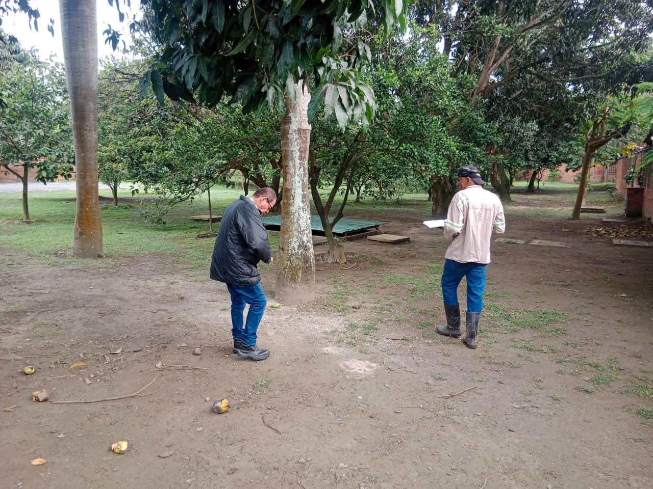 Manejo agronómico de frutales y hortalizas