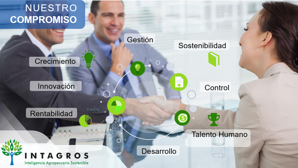 Construcción y mantenimiento de vías secundarias y terciarias