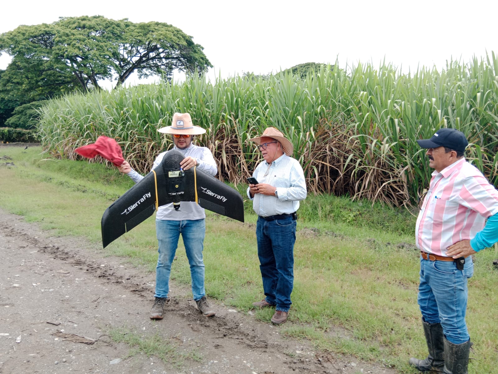 Sensores de humedad y suelo en campo