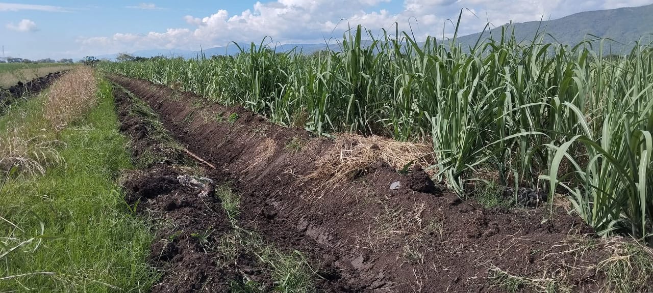 Trabajo de conservación hídrica y ecosistemas