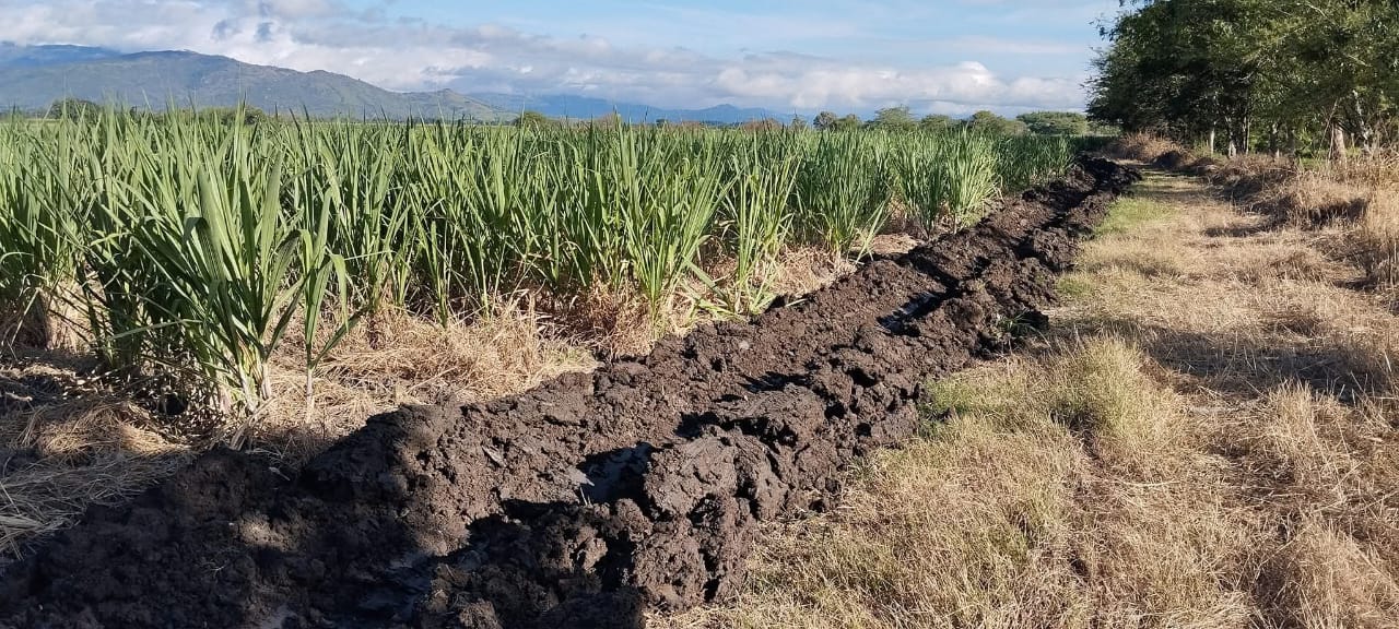 Asesorías Agroindustriales